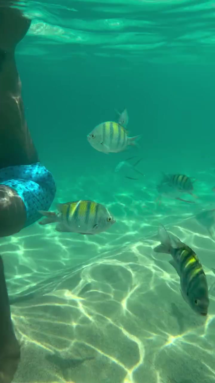 休赛期不钓鱼了乔治晒自己浮潜视频与鱼共舞